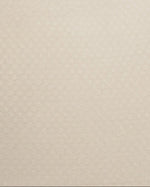 Load image into Gallery viewer, SAUNA PANTS PLUS กางเกงซาวน่า เรียกเหงื่อ เร่งเผาผลาญ